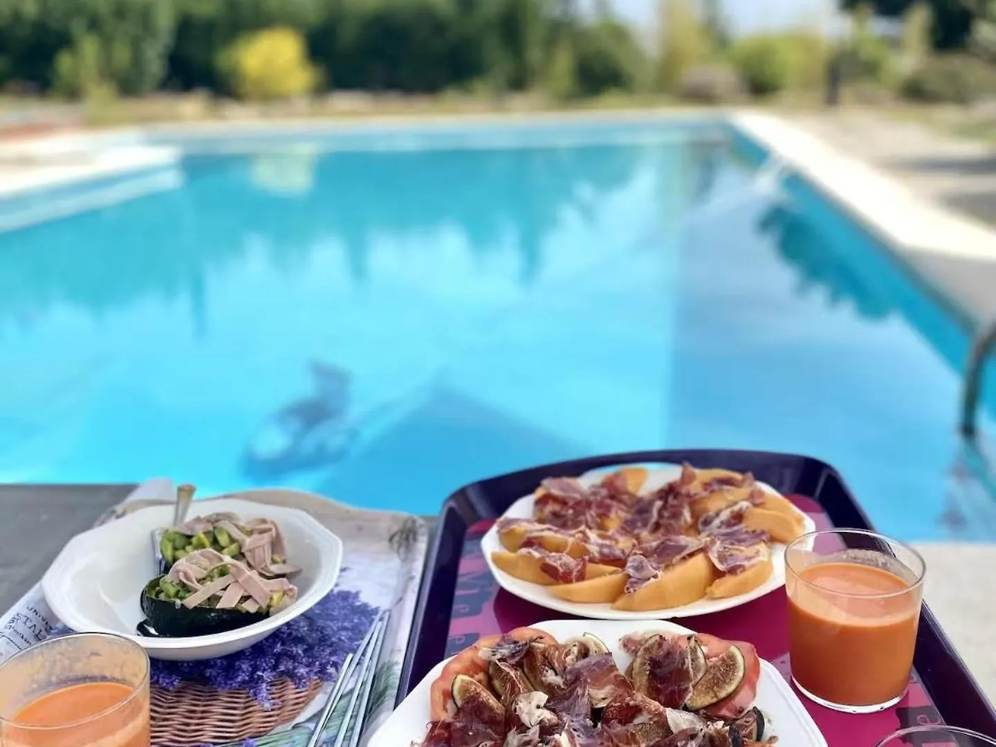 Intimate Family Villa With Big Private Pool & Panoramic Sea View Arenys de Munt